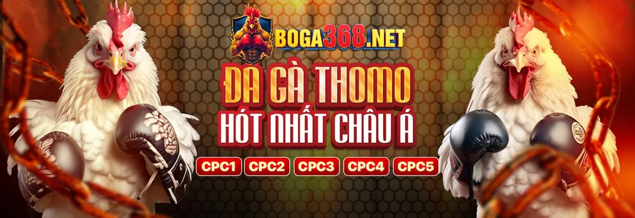 Vòng quay miễn phí và tiền thưởng