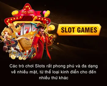 Thành viên VIP Bạc của VNDWIN